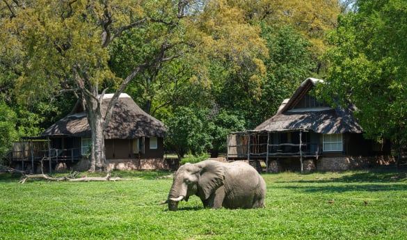 Mfuwe Lodge