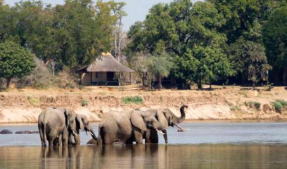 Nsefu Camp
