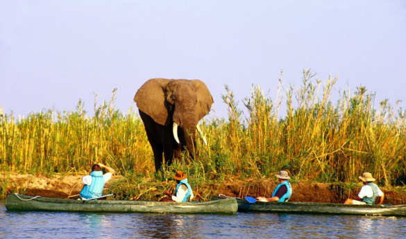 Canoeing on the Zambezi River