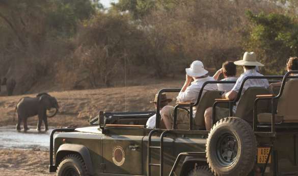 Game Viewing in the Lower Zambezi