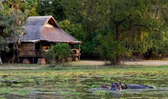 Highlights of Zambia and Madagascar