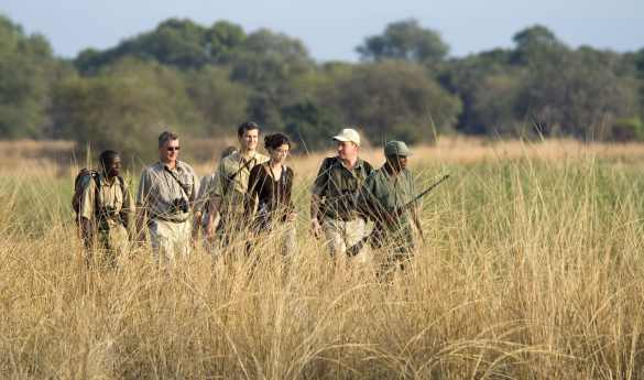 Zambia Walking Safari