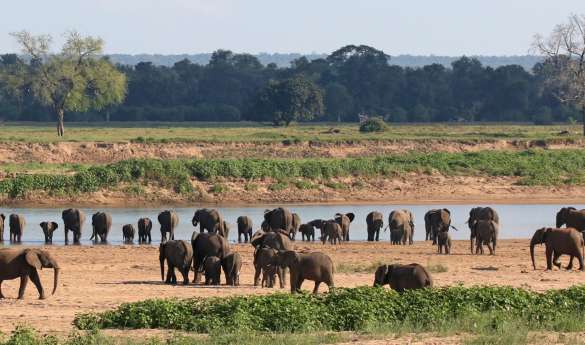 Chilo Gorge Tented Camp