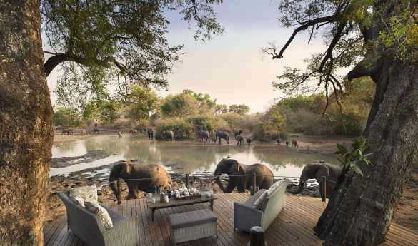Kanga Camp