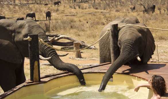 Khulu Bush Camp