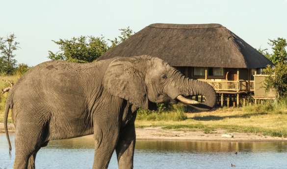 Nehimba Lodge