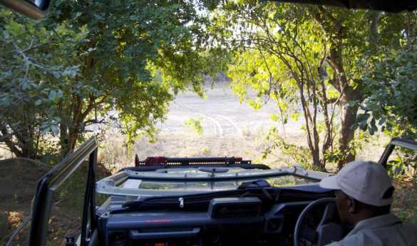 Game Drives in Hwange National Park