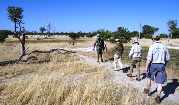 Walking Safari