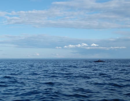 At Sea - Canada to Greenland
