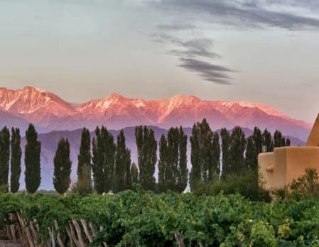 Cavas Wine Lodge