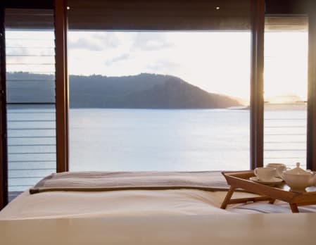 qualia