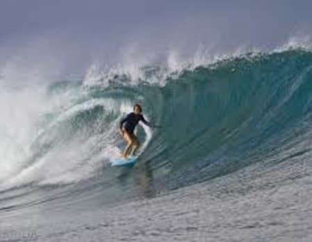 Best of Bondi Private Tour
