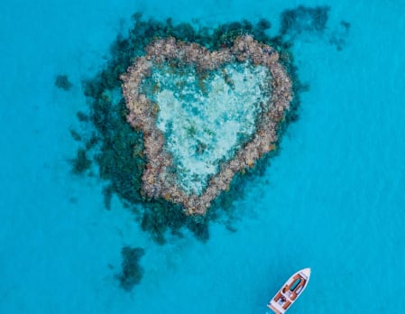 Journey to the Heart