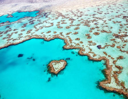 Australia Honeymoon