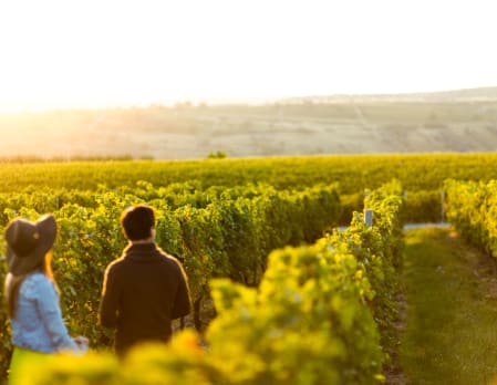 Culinary Australia