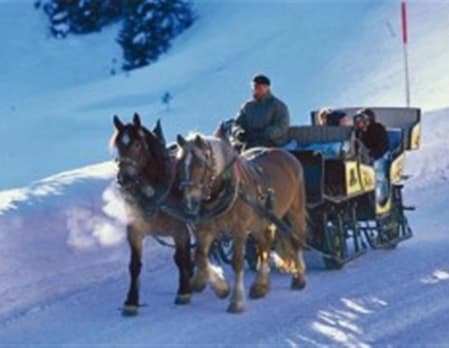 Horse drawn sleigh - Scott Dunn Suggests