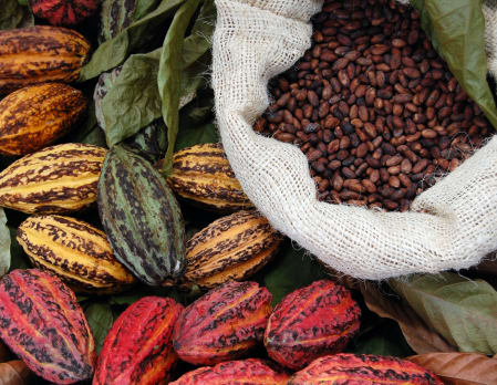 Placencia Chocolate & Waterfalls Tour