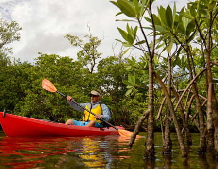 Placencia Lagoon Kayaking & Wildlife