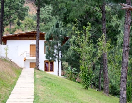 Dhensa Punakha