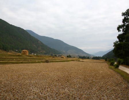 Cycling up the Pho Chhu River