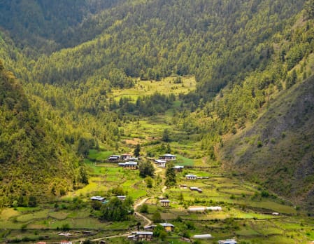 Day Trip to Chelela Pass and Hike Kila Goenpa
