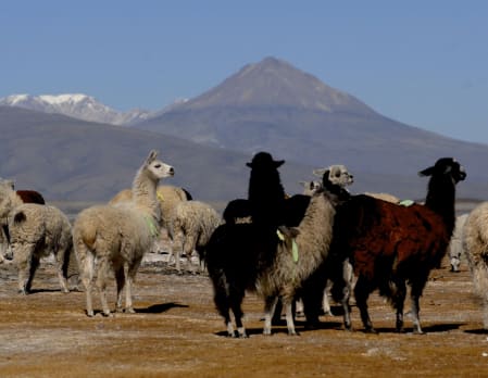 Day 2 - Uyuni Glamping Adventure