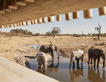 Belmond Savute Elephant Lodge