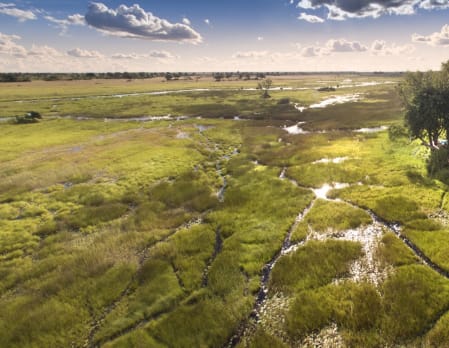 Duba Plains