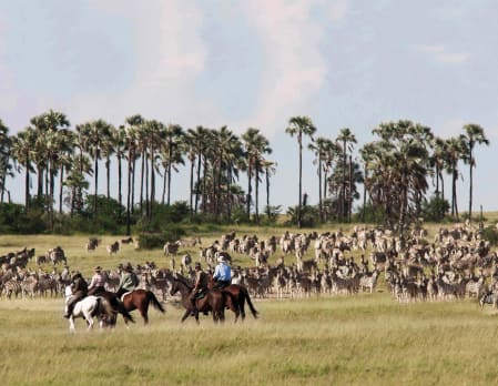 Uncharted Africa Riding Safari