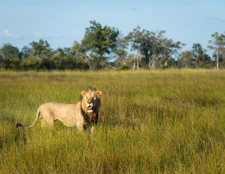 Activities at Little Vumbura