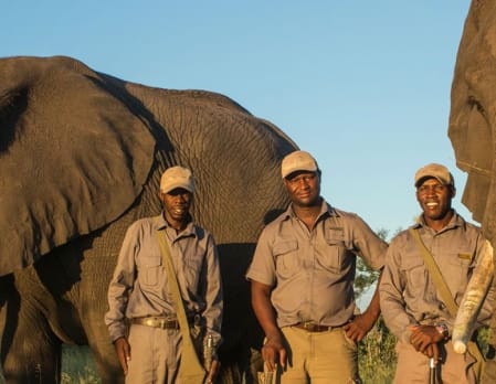 Waking with Elephants at Abu's