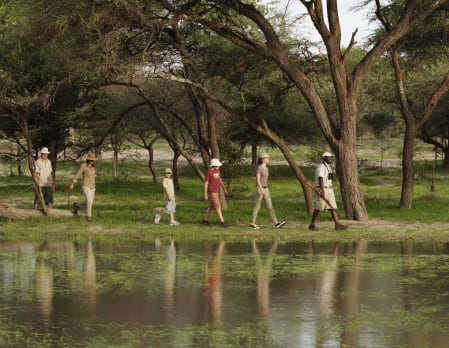 Walking Safaris and Nature Walks