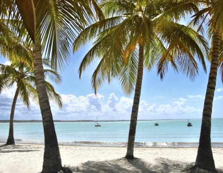 Cycle to Itaquena Beach through Buffalo Valley