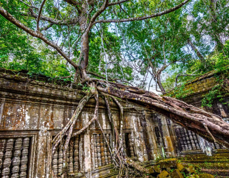 Amansara - Beng Mealea & Koh Ker