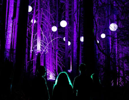 Vallea Lumina Experience