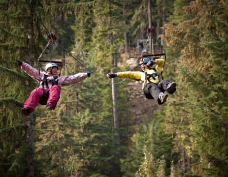 Zip Trek Bear Tour