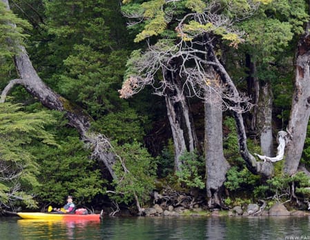 Kayaking at Vira Vira