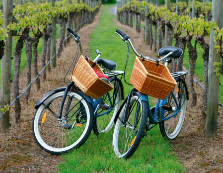 Wine & Bike in the San Antonio Valley