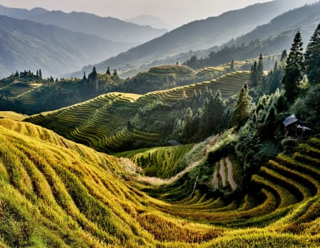 LongJi One Art Hotel