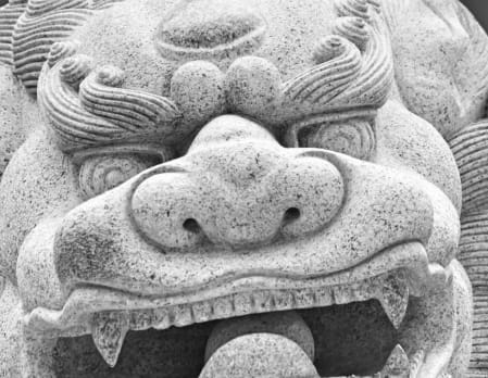 A Visit to Gansu Provincial Museum
