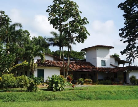 Hacienda Bambusa