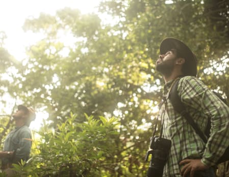 Los Llanos Birdwatching