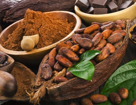 Rum & Cacao Tasting