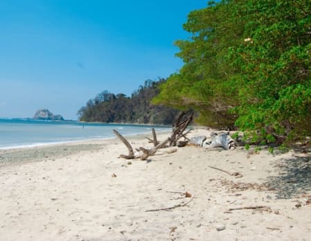 Cabo Blanco Nature Reserve