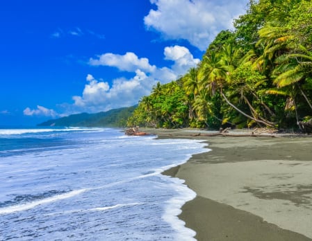 Corcovado National Park