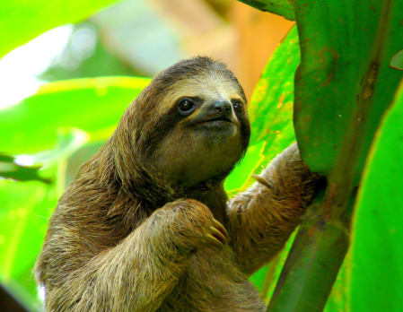 Costa Rica with Kids
