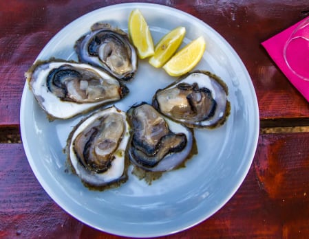 Oyster Harvesting and Private Island Picnic