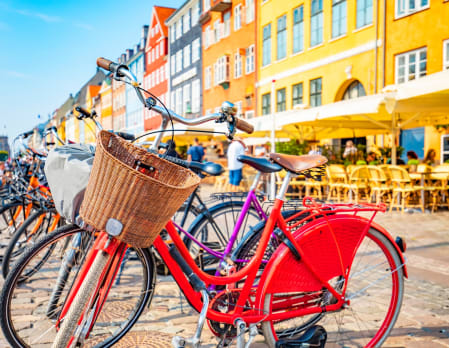 Complete Copenhagen Private Bike Tour