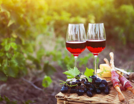 Gourmet picnic in a vineyard