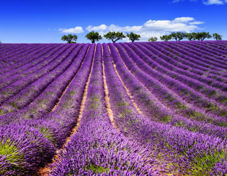 Make your own perfume in Grasse